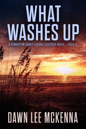 [The Forgotten Coast Florida Suspense 03] • What Washes Up